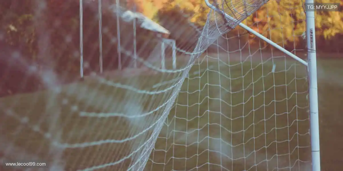 技术驱动想象，让虚拟世界触手可及🌐